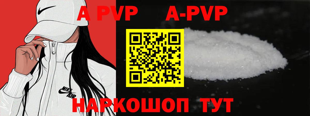 A PVP СК КРИС Тельмана