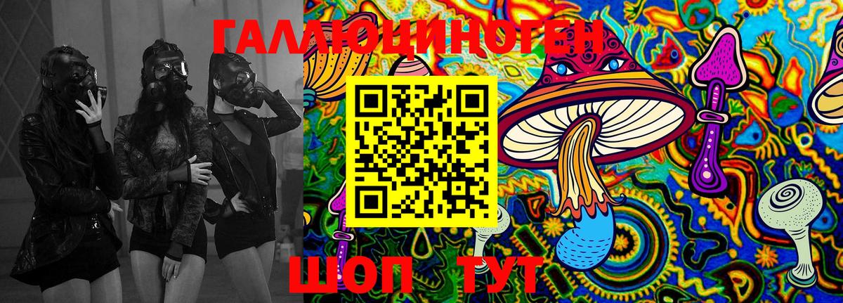 Галлюциногенные грибы Psilocybe  Вход с VPN  Тельмана 