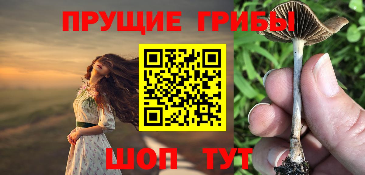 Псилоцибиновые грибы прущие грибы Тельмана